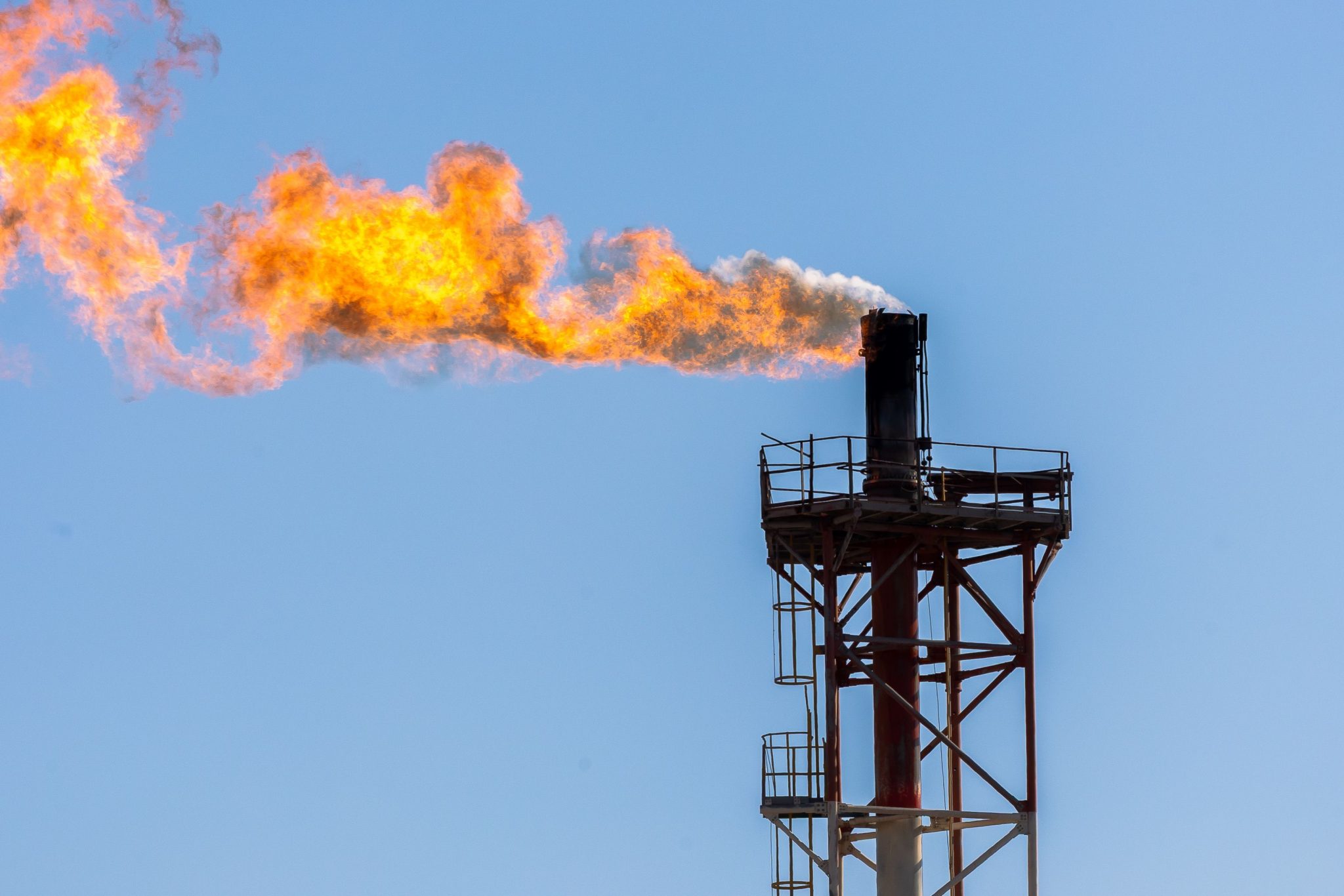 pétrole